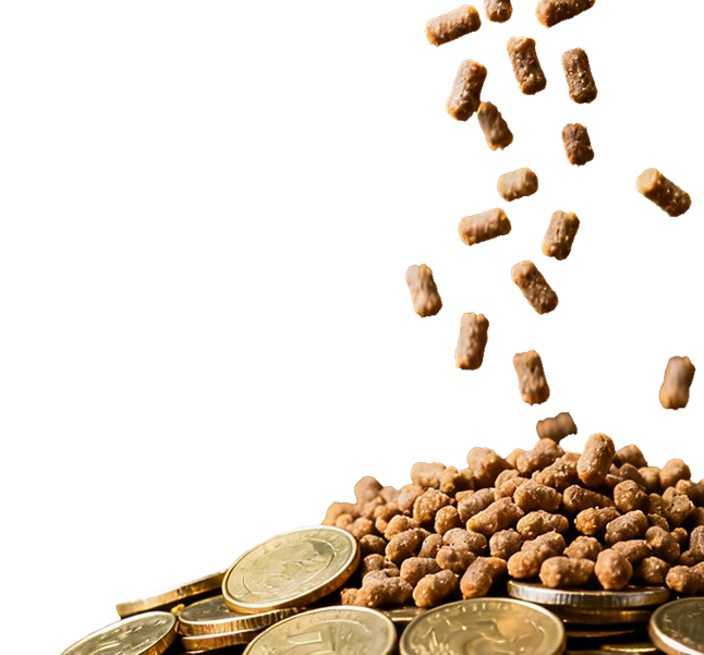 pellets