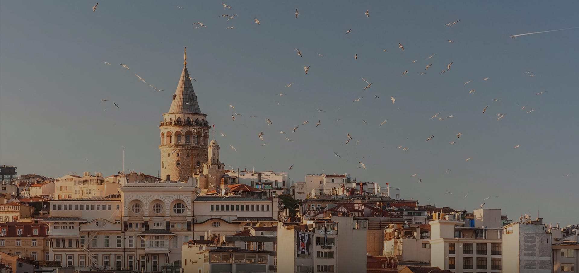 turkey