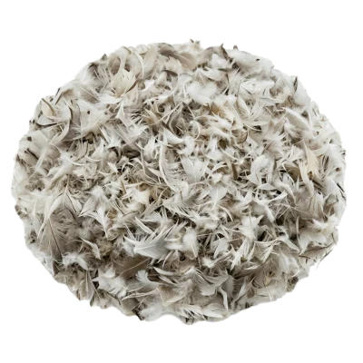 Feather Waste