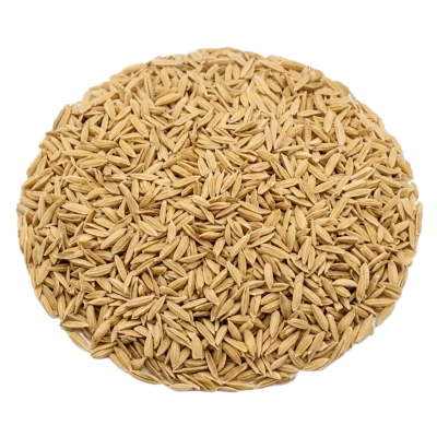 Rice Husk
