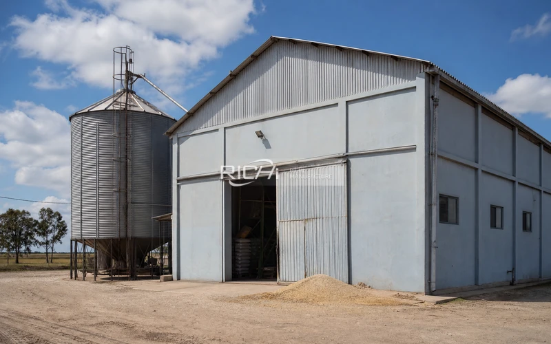 Racing Pigeon Feed Plant