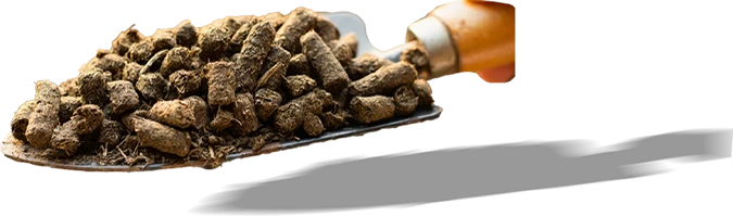 pellets