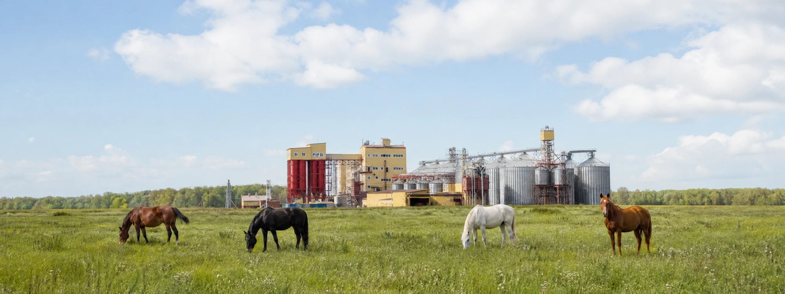 horse feed mill solution