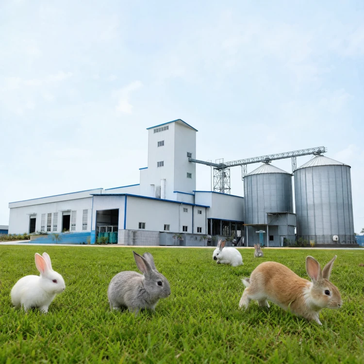 rabbit feed plant solution