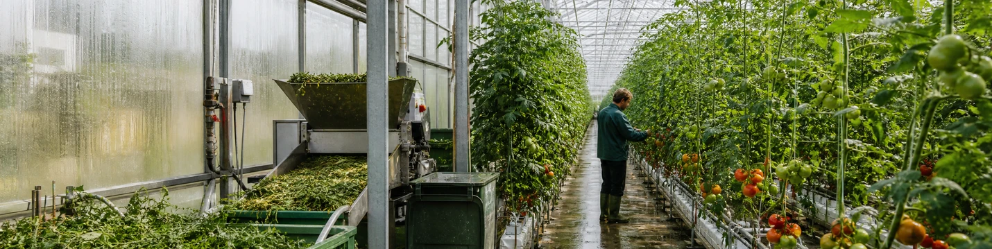 Commercial Farms & Greenhouse Operations