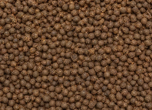 Food Waste Pelletizing