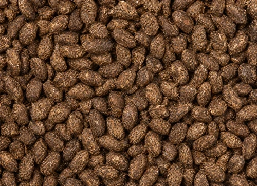 Food Waste Pelletizing