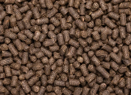 Food Waste Pelletizing