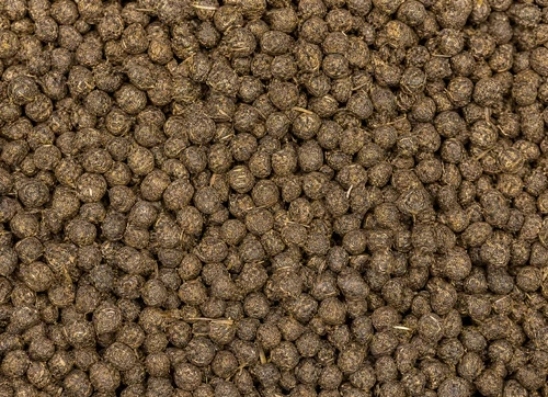 Päerdsdüngerpellet