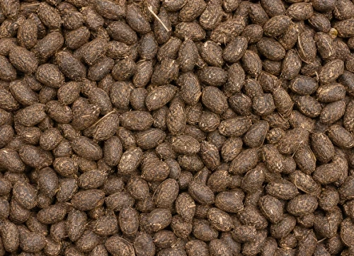 Päerdsdüngerpellet