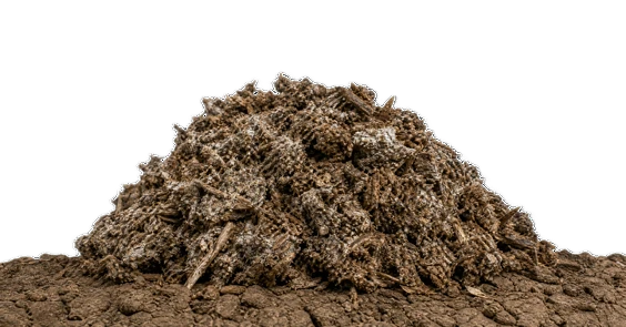 Mushroom Waste & Spent Mushroom Substrate
