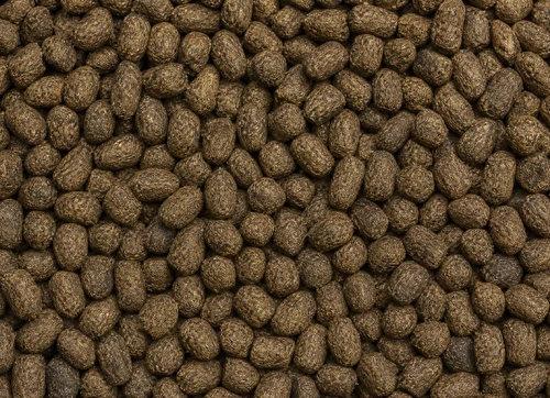 Slaughterhouse Waste Pellet