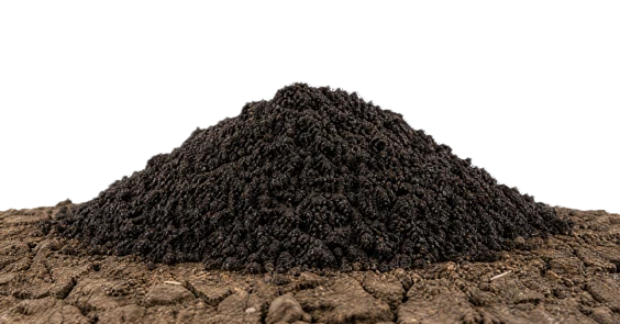 Vermicompost & Worm Castings