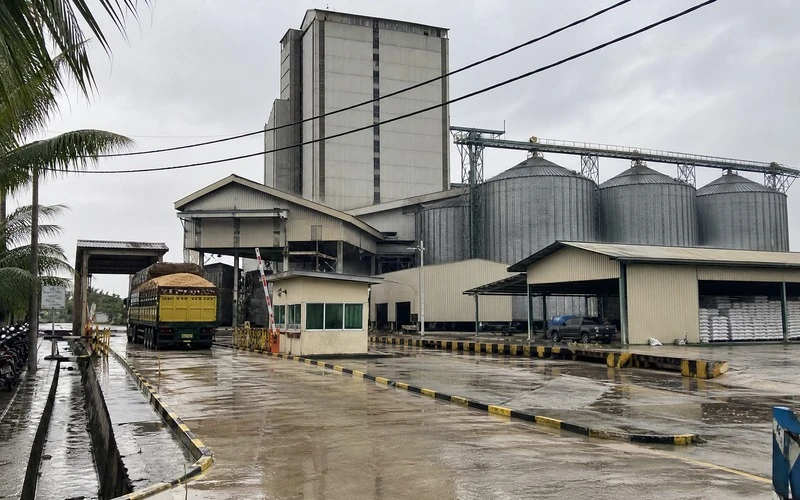 Corn and Palm Kernel Meal Feed Ingredient Plant in Malaysia