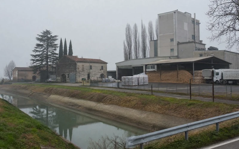 8000 T/A Rice Husk Fuel Pellet Plant in Italy