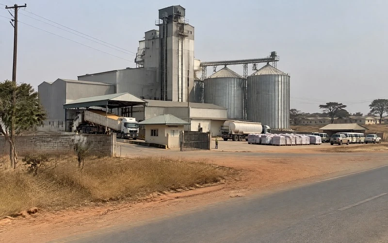 Pig and Dairy Feed Mill in Zambia